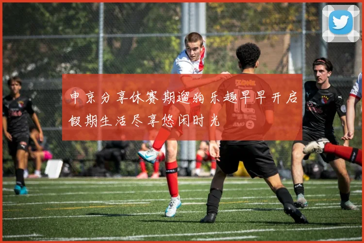 申京分享休赛期遛狗乐趣早早开启假期生活尽享悠闲时光