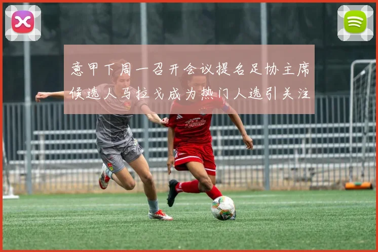 意甲下周一召开会议提名足协主席候选人马拉戈成为热门人选引关注